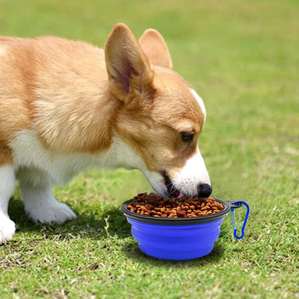 Large Silicone Dog Bowl