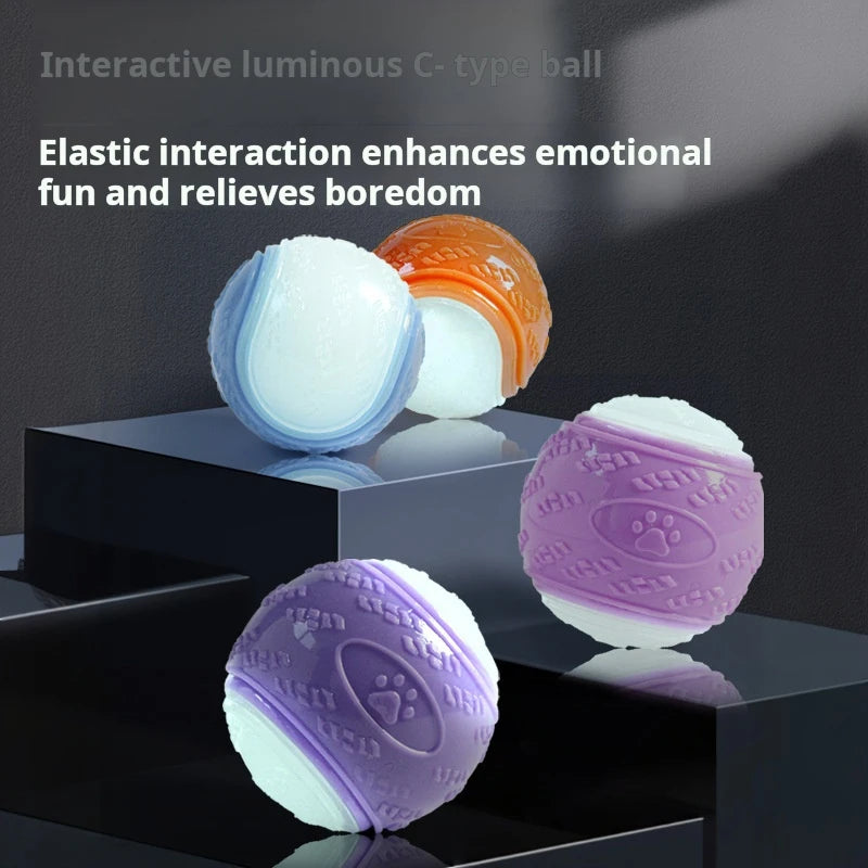 Dog Bouncing Ball Toy