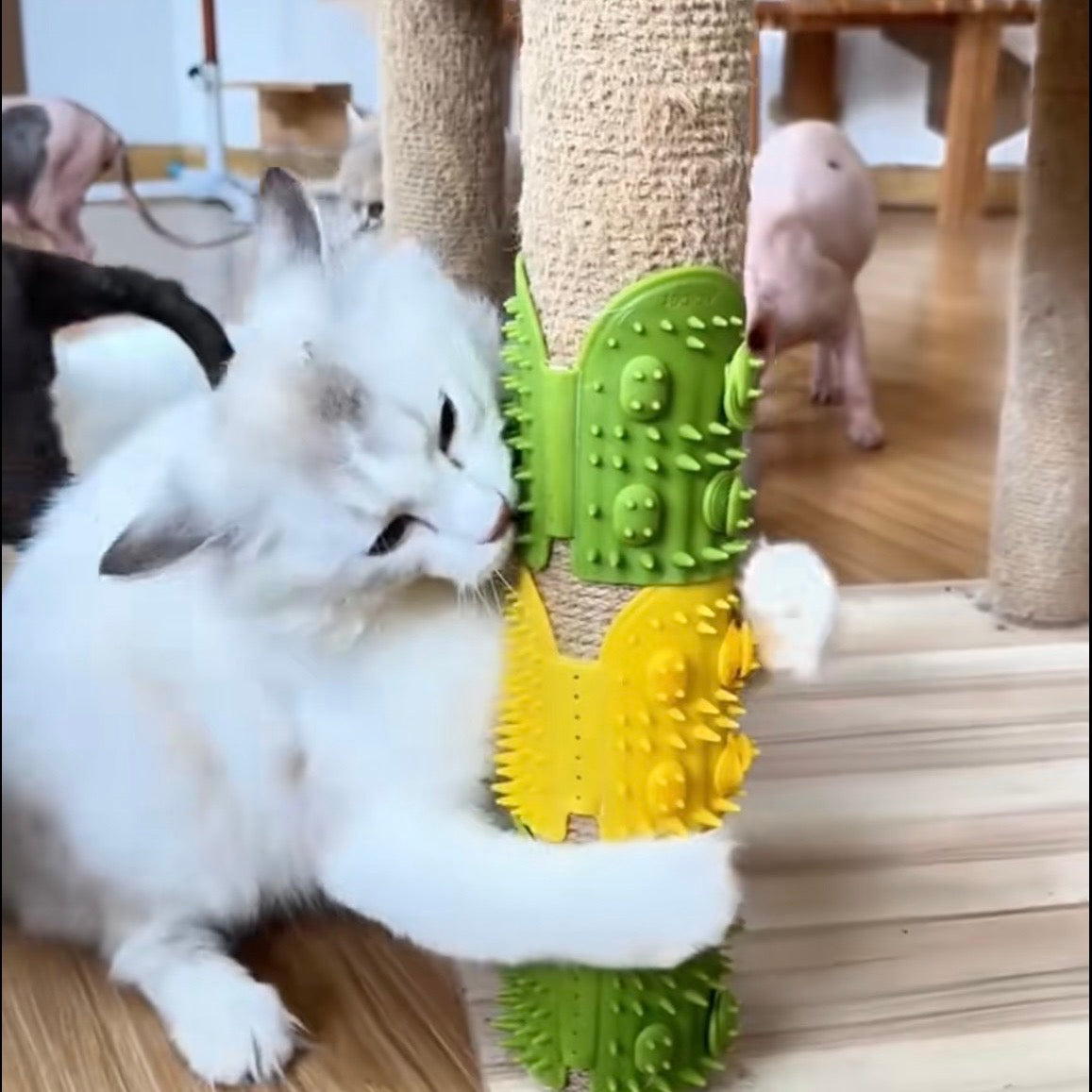 Self-Cleaning Cat Grooming Brush