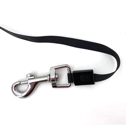 3M/5M Retractable Dog Leashes