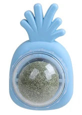 Natural Cat Grass Wall Stick-on Treat