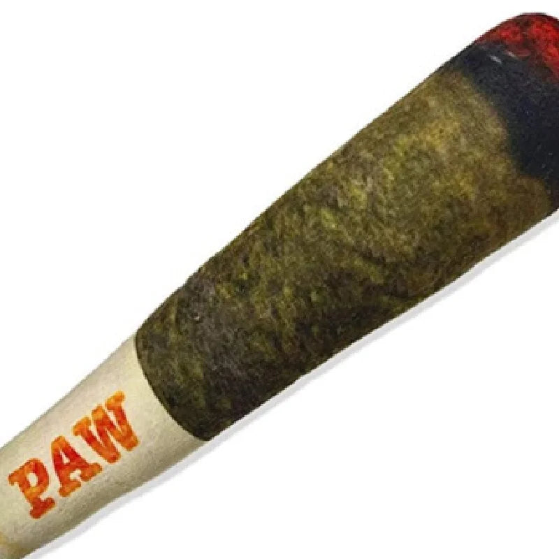 Dog Cigar Chewing Toy