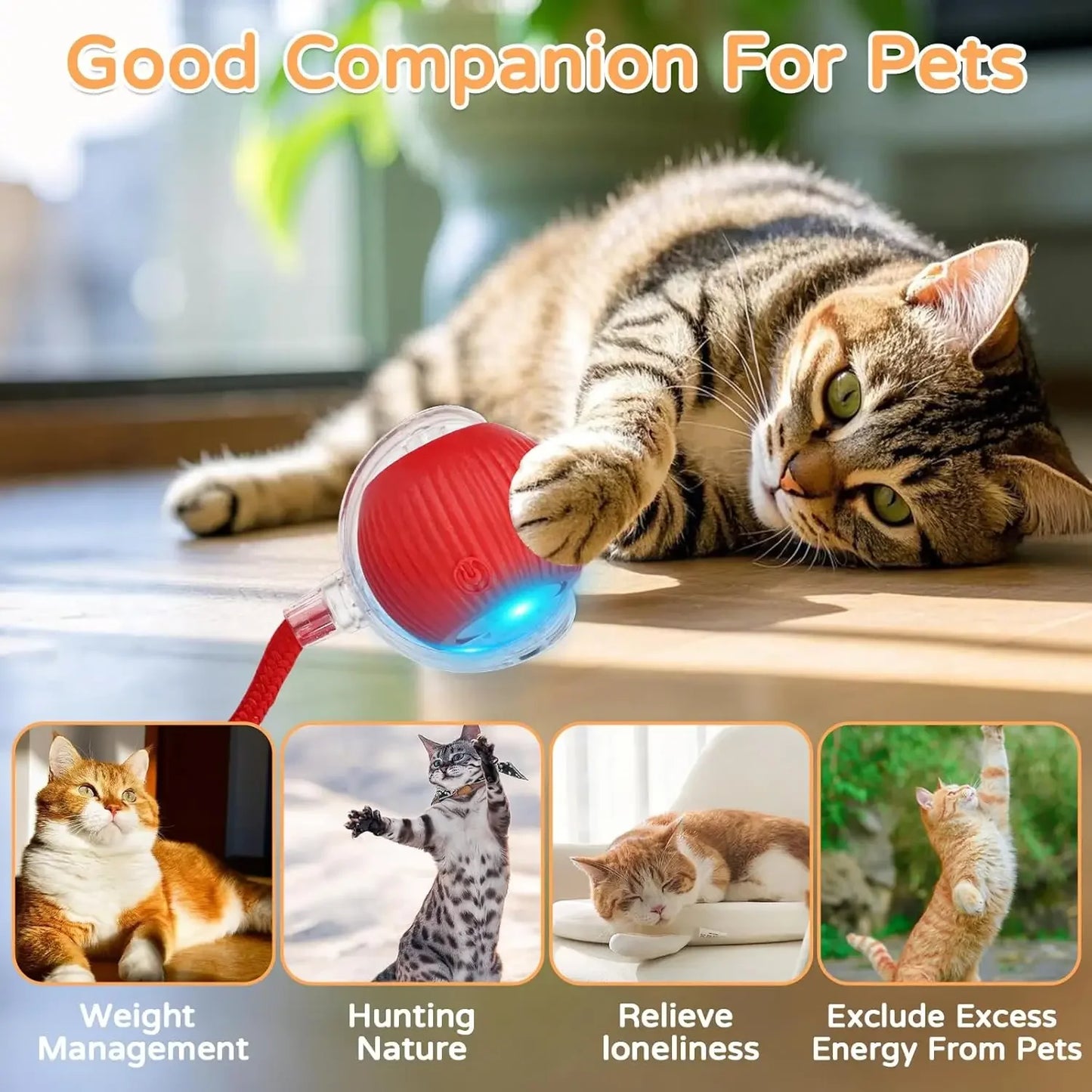 Dog Cat Interactive Ball Toy Automatic Rolling Ball