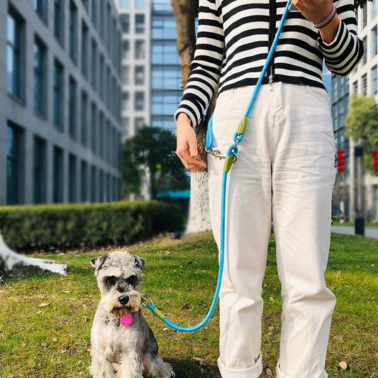 Reflective Hands Free Rope Dog Leashes