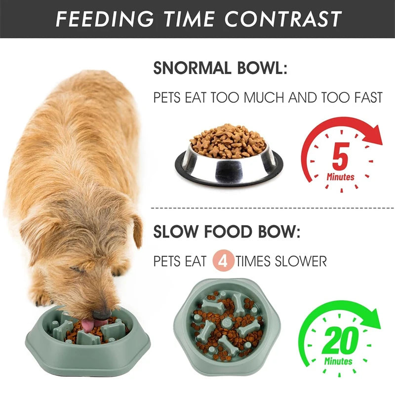 Slow Feeding Food Dispenser Puzzle Dog Bowl