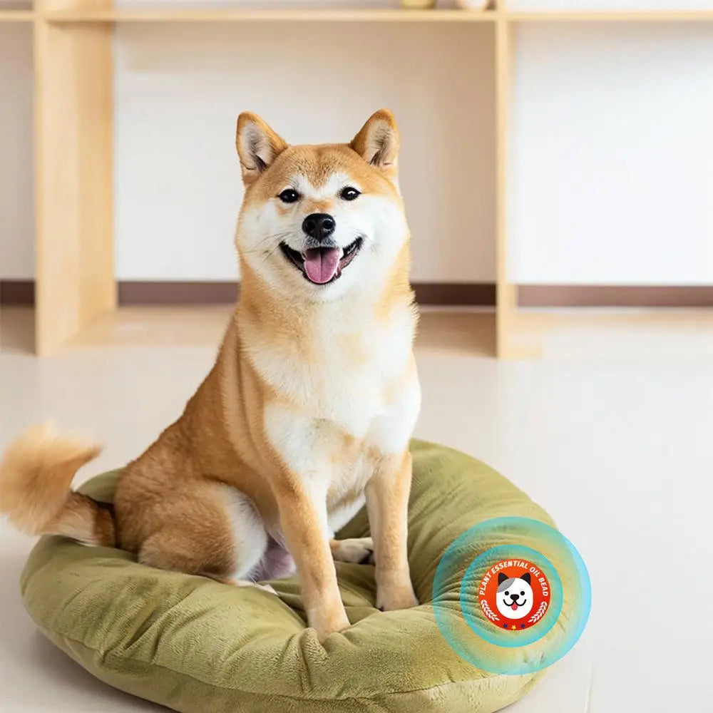 Pet Calming Soothing Stickers