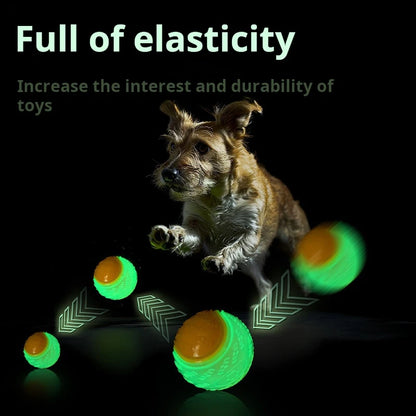 Dog Bouncing Ball Toy