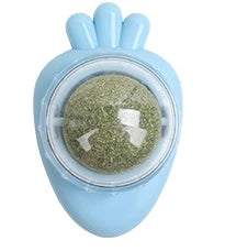 Natural Cat Grass Wall Stick-on Treat