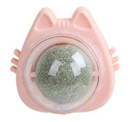 Natural Cat Grass Wall Stick-on Treat