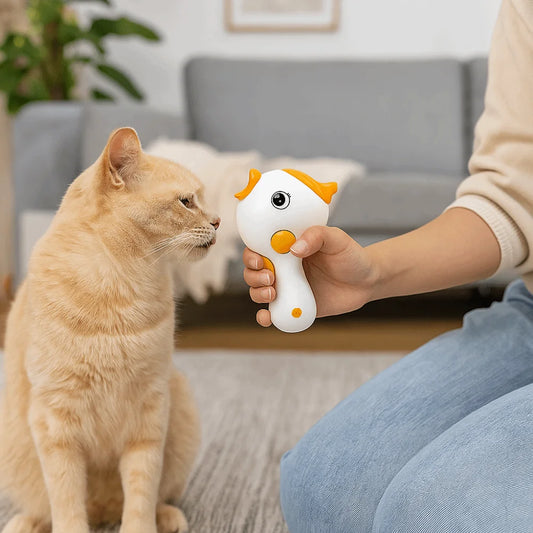 Pet Treat launcher with laser pointer