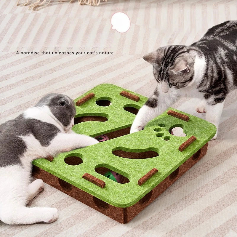 Interactive Toy and Scratching Post for Cat