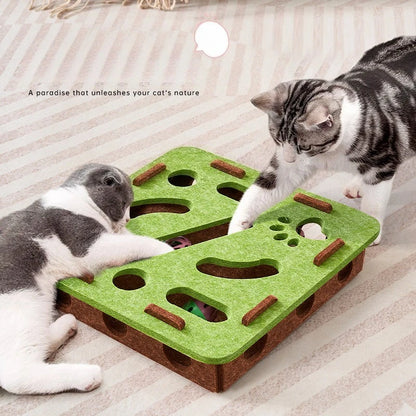 Interactive Toy and Scratching Post for Cat