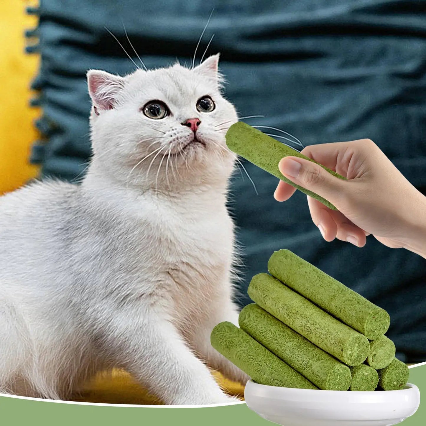 Cat Grass Teething Sticks