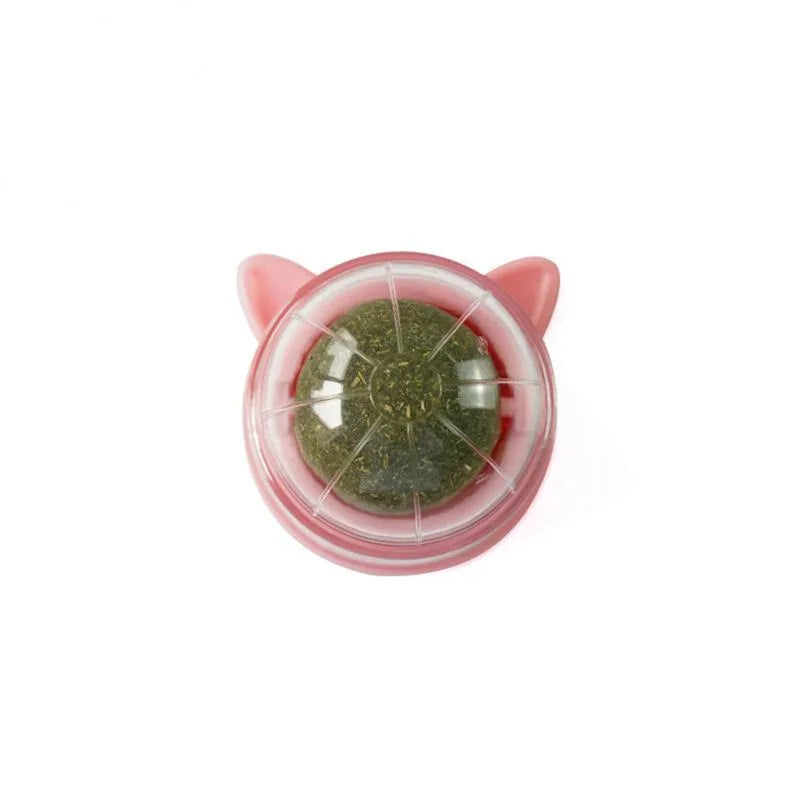Natural Cat Grass Wall Stick-on Treat