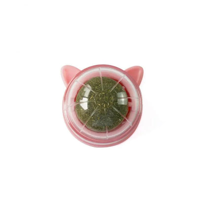 Natural Cat Grass Wall Stick-on Treat