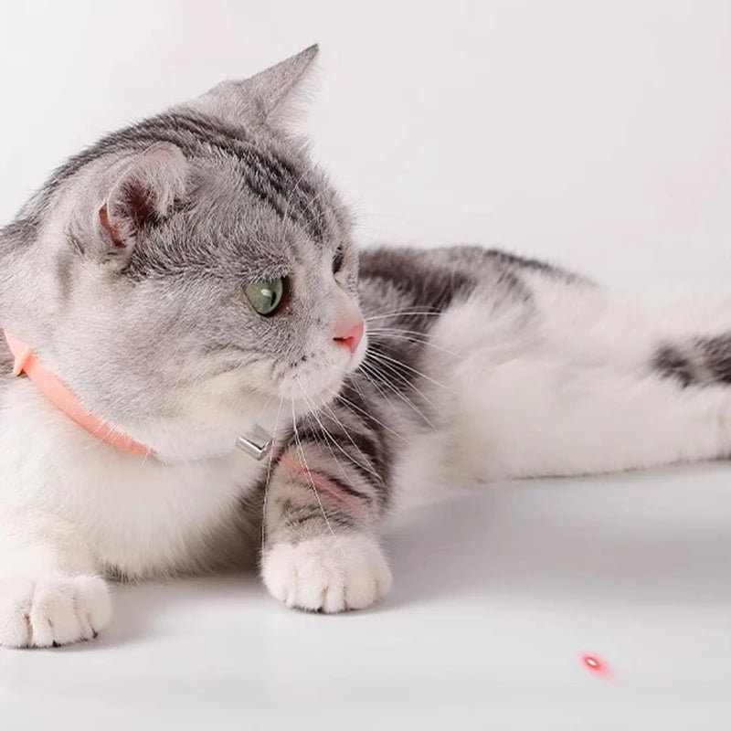 Laser Cat Collar