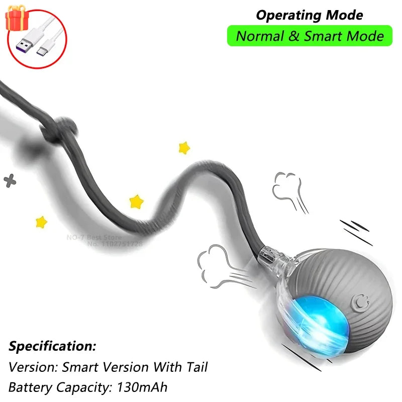 Dog Cat Interactive Ball Toy Automatic Rolling Ball