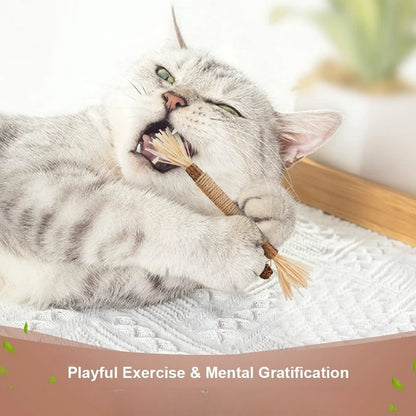 Cat Teeth Cleaning Bite Stick