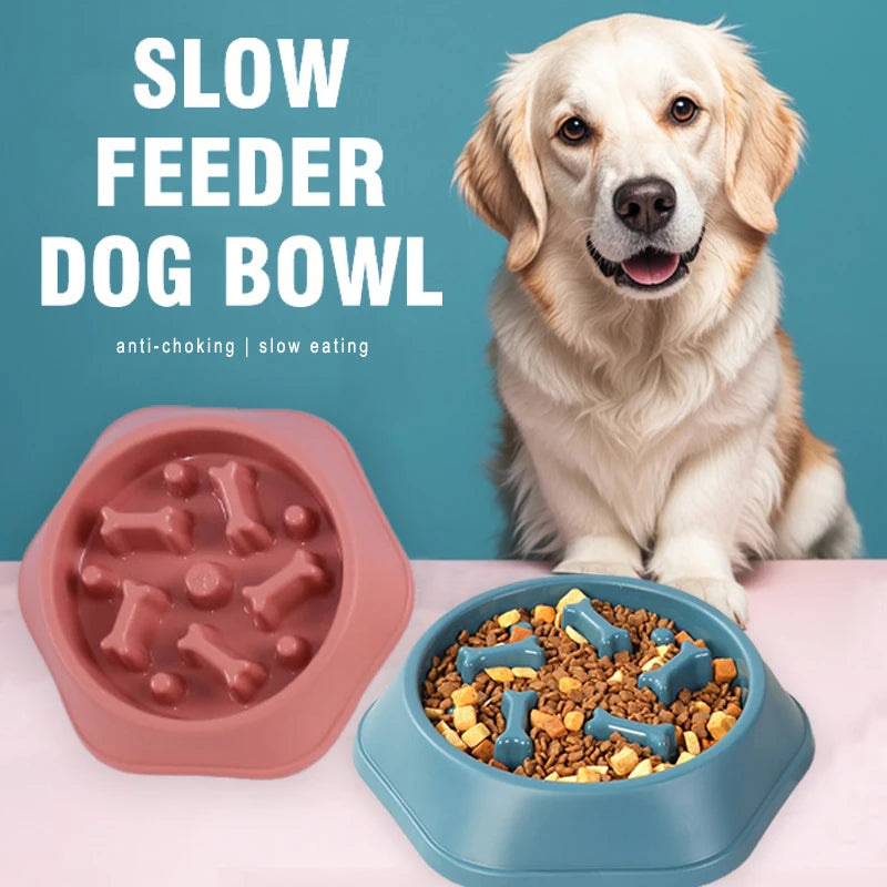 Slow Feeding Food Dispenser Puzzle Dog Bowl