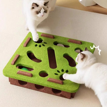 Interactive Toy and Scratching Post for Cat