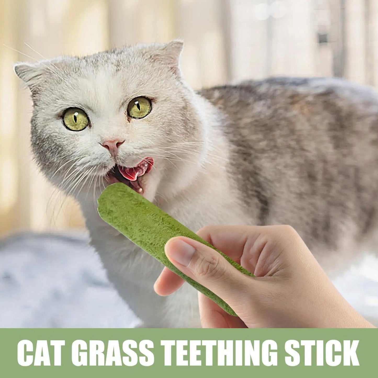 Cat Grass Teething Sticks