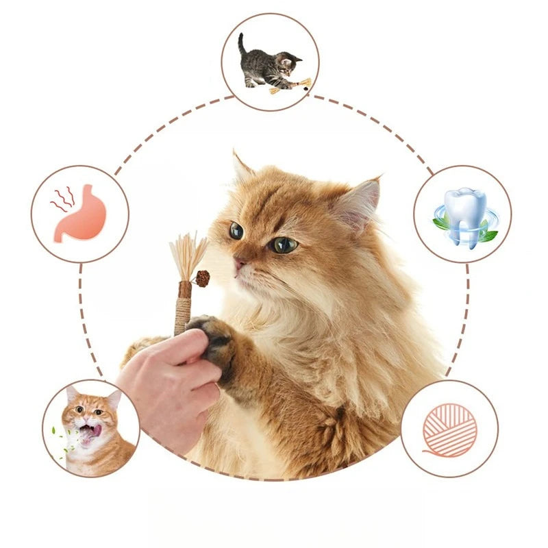 Cat Teeth Cleaning Bite Stick