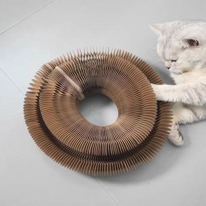 Cat Scratching Board