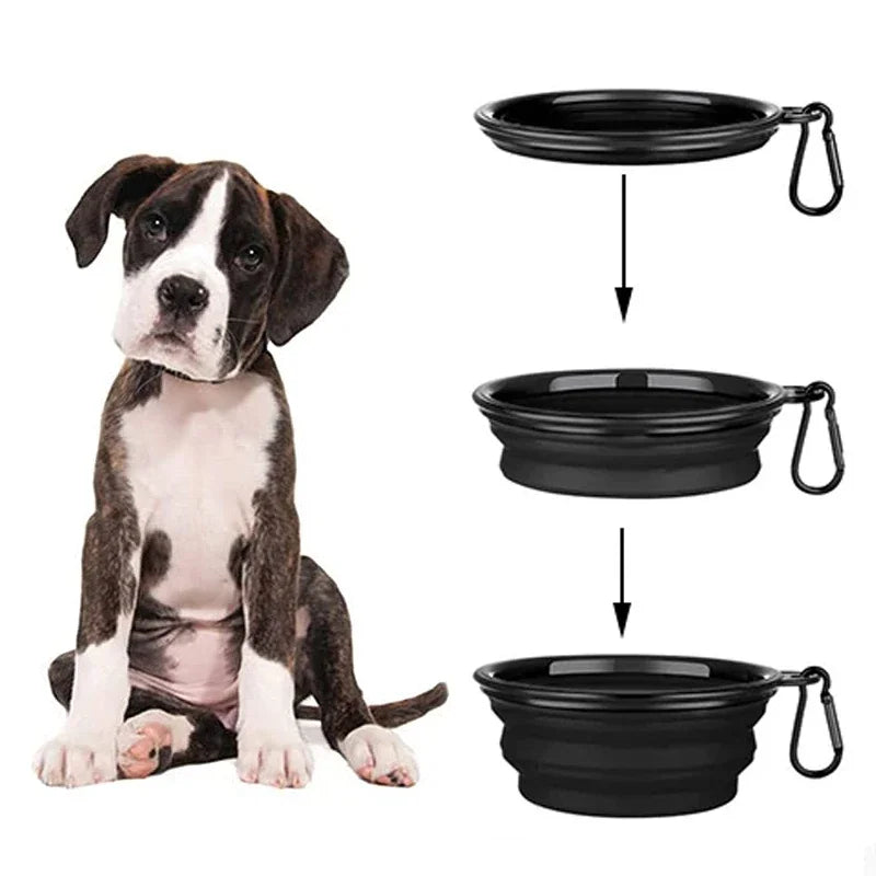 Large Silicone Dog  Bowl