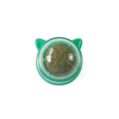 Natural Cat Grass Wall Stick-on Treat