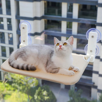Foldable Cat Window  Hammock