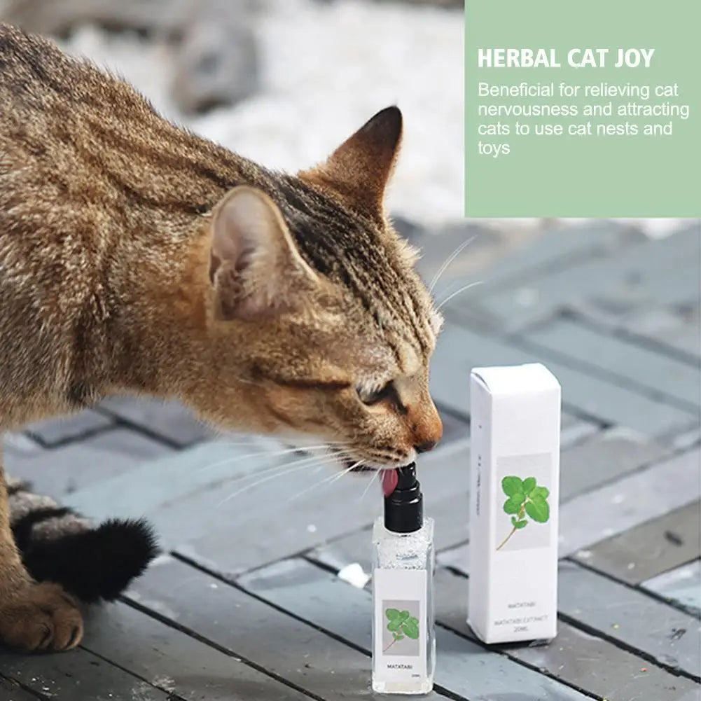Herbal Cat Joy Catnip Spray