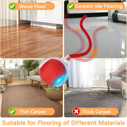 Interactive Automatic Rolling Ball & Flapping Bird