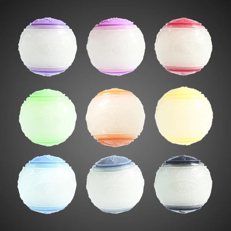 Dog Bouncing Ball Toy
