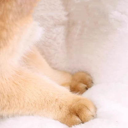 Cozy Instant Noodle Pet Bed