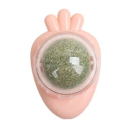 Natural Cat Grass Wall Stick-on Treat