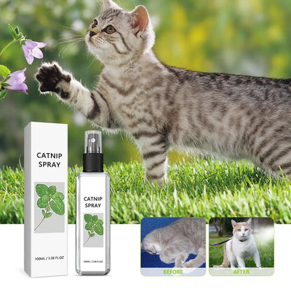 Herbal Cat Joy Catnip Spray