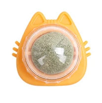 Natural Cat Grass Wall Stick-on Treat