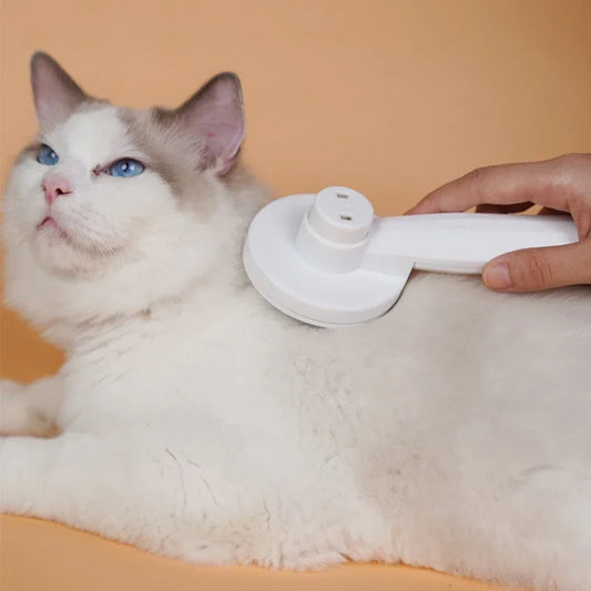 Cat Hair Removal Grooming Brush